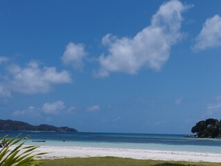 Fototapeta premium beach