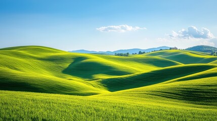 Fototapeta premium Bright green hills under a blue sky