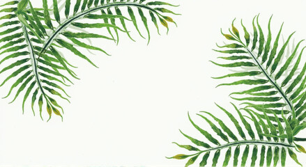 Obraz premium tree leaves