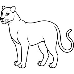 panther white background