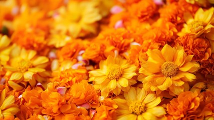 Haldi ceremony marigold flower decoration background 