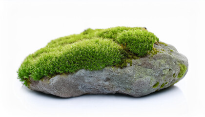 Rock with green moss isolated on white background. Elements for decorate garden, park, landscape