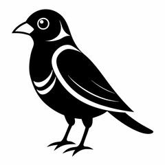 bird on a branch