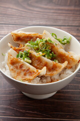 餃子丼