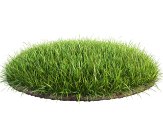 a circular patch of grass
