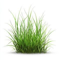 Obraz premium Lush green grass isolated on white background, showcasing vibrant blades that evoke sense of freshness and natures beauty. Perfect for various design projects