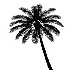 Palm tree. Black and white illustration. Logo design for use in graphics. T-shirt print, tattoo design.