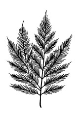 Naklejka premium Leaves . Black and white botanical pattern. For use in graphics, materials. Abstract plant shapes. Minimalist illustration for printing on wall decorations.