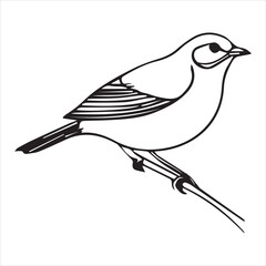 silhouettes of bird Vector illustration silhouette image icon