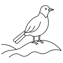 Unique Minimalist Bird Vector Illustration Celebrating the Beauty of Avian Life in Clean and Stylish Graphic Designs

