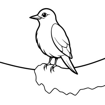 recommend clip art: Basic Outline of Animal Habitats with Vector Illustration for Educational Purposes
                    