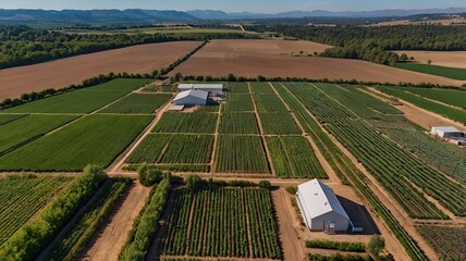 Aerial View of Serene Farmland 