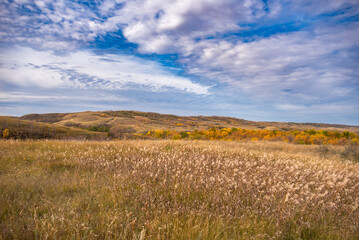 Obraz premium Autumn hiking on the Canadian prairie