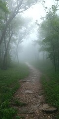 Obraz premium Fog covering a scenic forest trail, fog in nature, peaceful path through a misty woodland