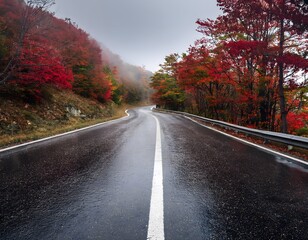 Obraz premium wide angled shot of a long wet road