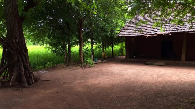 Hand held shot of Village house near agriculture land. Peaceful life of village of Dang