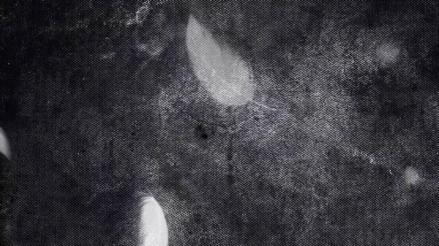 Falling Feathers on Grunge Dark Wall Texture Background