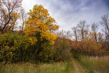 Autumn hiking on the Canadian prairie
