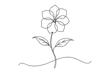 Elegant Line Drawing of Phlox Flower | Vector Line Art Illustration