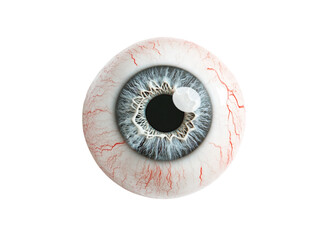 Realistic model of a human eye with vivid colors and detailed veins, white background.   PNG transparent.