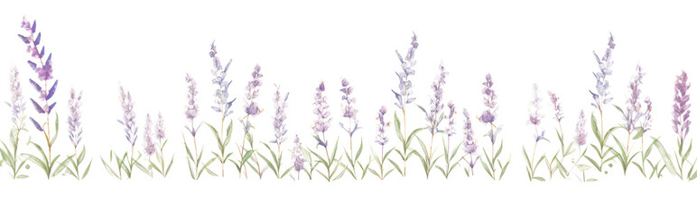 Naklejka premium PNG Purple flowers as divider watercolor vegetation lavender outdoors.