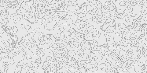 Topographic map background. Geographic abstract patterns grid