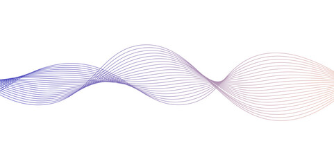 Fototapeta premium Abstract dynamic multicolor lines, waves. technology line stripe isolated science digital flowing black line. gradient colorful flowing wave design element. wavy lines gradient background. 