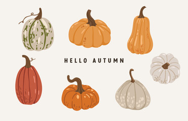 Autumn leaves and pumpkins set isolated white background, thanksgiving elements vector, autumn illustration, hello autumn vector	
