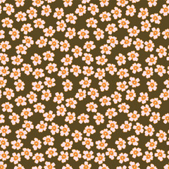 Watercolor seamless pattern with flowers. Vintage floral pattern. Flower seamless pattern. Botanical art. Floral botanical collection. Wedding floral set. Watercolor botanical design.