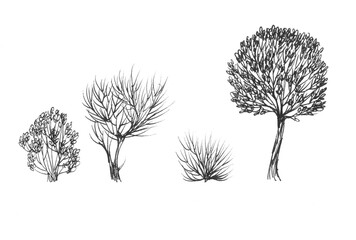 Naklejka premium Ink sketch of spring trees on white background