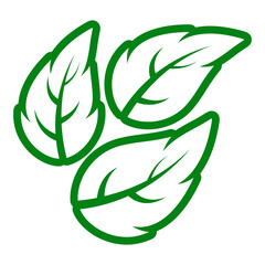 contour collection different green leaves of tree, plants, leaf and swirls branches. Stock vector icon, isolated white background. Element for ecographic, natural design, vegan logo, bio labels