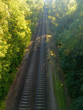 Aerial view of a double train track through the leafy forest in the early morning.