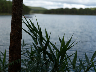 Serene lakeside view with lush greenery and calm water reflecting overcast sky, creating a peaceful atmosphere for outdoor activities and relaxation