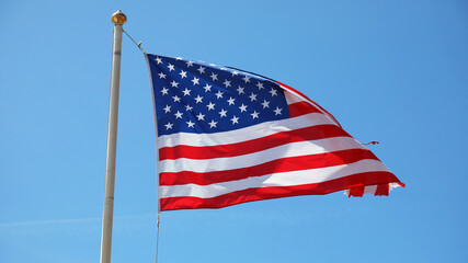The national flag of the United States of America