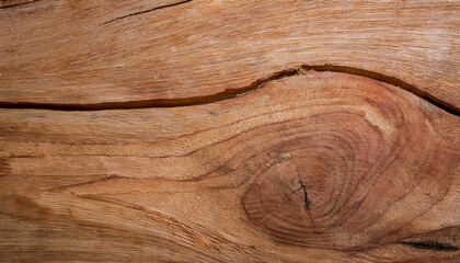 Wooden texture. Wood backdrop.