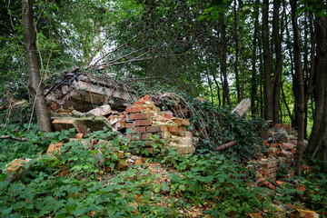 Fototapeta premium Collapsed brick house as a ruin in the forest overgrown with ivy and other plants, lost place at the former Maurine mill near Carlow in Germany