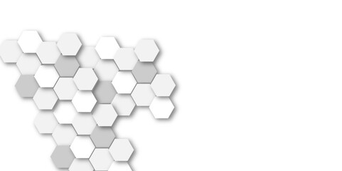 Luxury white and grey hexagonal abstract background with shadow. Geometric 3d texture illustration. Abstract hexagonal concept technology, banner and wallpaper background.