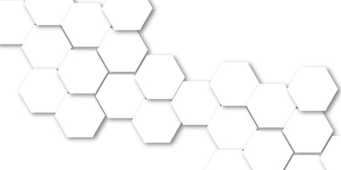 Luxury white and grey hexagonal abstract background with shadow. Geometric 3d texture illustration. Abstract hexagonal concept technology, banner and wallpaper background.