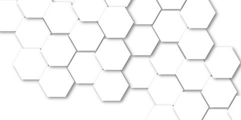 Abstract white and grey seamless hexagon pattern background. Abstract hexagonal concept technology background. Vector Illustration