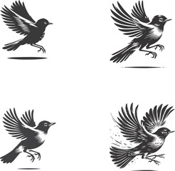 American Robin Flying Silhouette Vector | High-Quality Stock Illustration