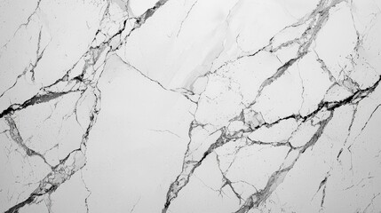 Fototapeta premium A marble tile showcasing intricate gray veins running through pristine white stone. This elegant design adds a touch of sophistication and natural beauty to any space