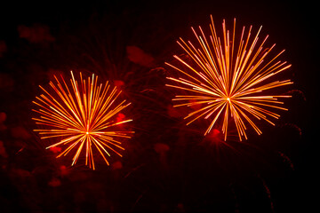 Fototapeta premium Multicolored pink gold bright sparks of fireworks on the black sky.