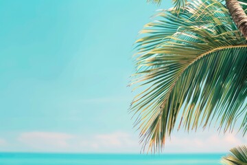 Naklejka premium A palm tree stands tall on a sandy beach, with the vast ocean stretching out behind it