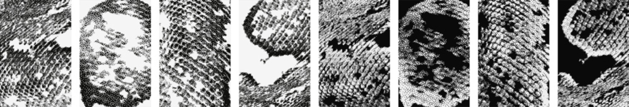 Trendy halftone stipple effect vertical banners set. Snakeskin texture, python scales pattern. Grunge punk grain dots distress texture for y2k collage design. Modern vector illustration, poster design