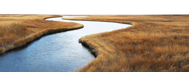 PNG Outdoors scenery nature fields.