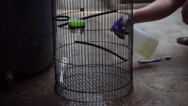 A man is spraying birds in a caged Canary.