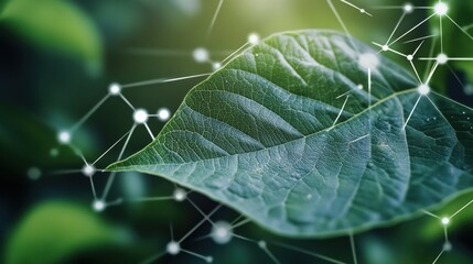 Molecular structure on nanotechnological crops of the future, DNA genome engineering