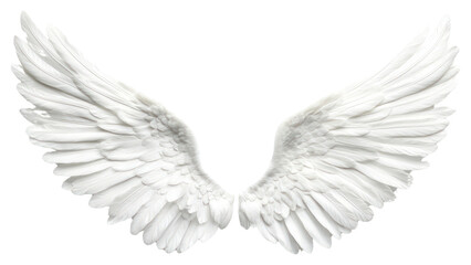 Obraz premium PNG Elegant white angel wings design