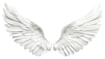 PNG Elegant white angel wings design