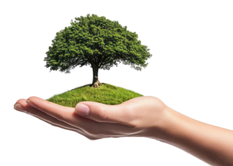 PNG Nature conservation in human hands